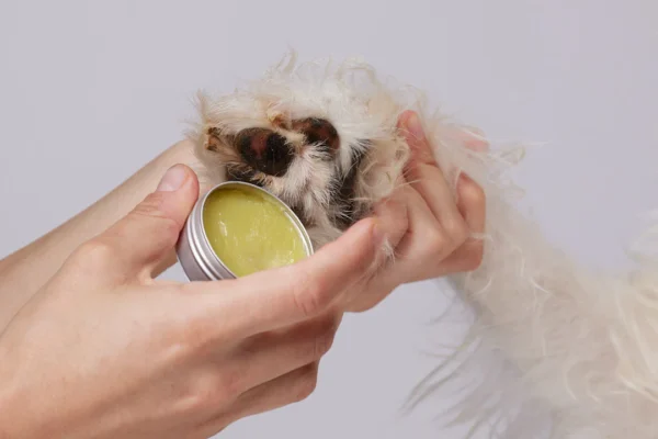 Bálsamo de CBD para mascotas - 300Mg - Imagen 4