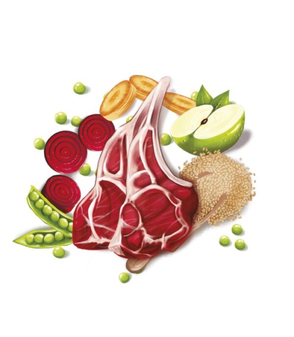Fresh mediterranean blend adult lamb (low grain) 12kg - Imagen 2