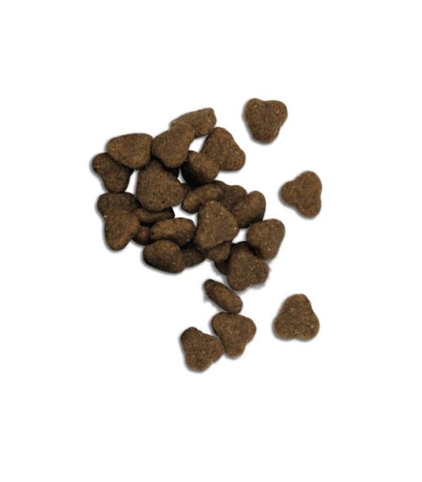 Fresh mediterranean blend adult lamb (low grain) 12kg - Imagen 3